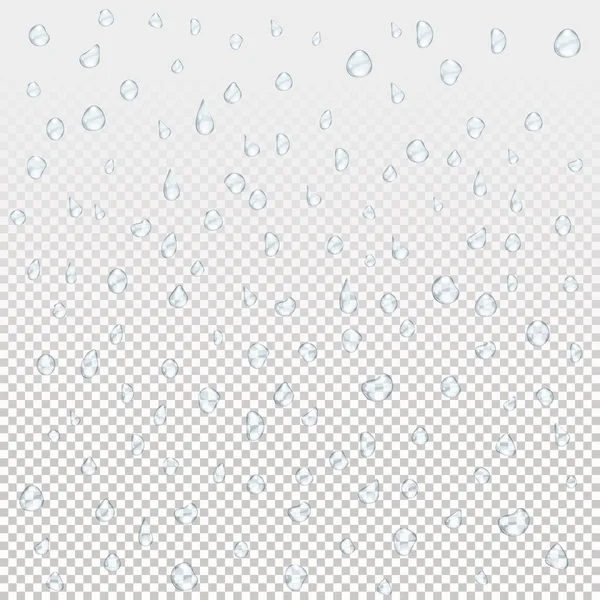 Water rain drops — Stock Vector