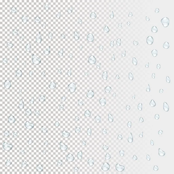 Краплі дощу води — стоковий вектор