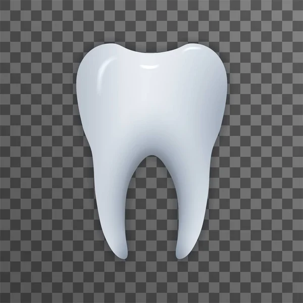 Realistyczne ilustracja zębów — Wektor stockowy