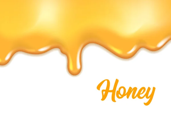 Goteo miel fondo — Vector de stock