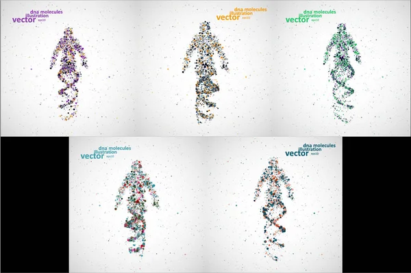 Futurisztikus modell ember DNS — Stock Vector