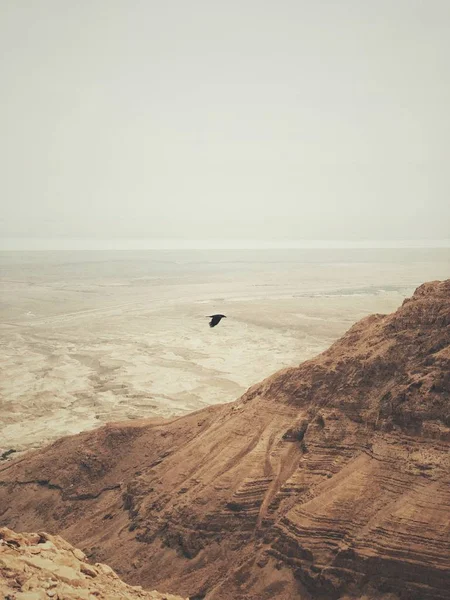 正田からの砂漠の眺め — ストック写真