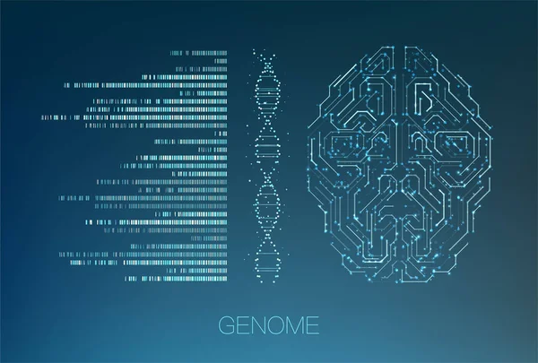 Visualisierung großer genomischer Daten — Stockvektor