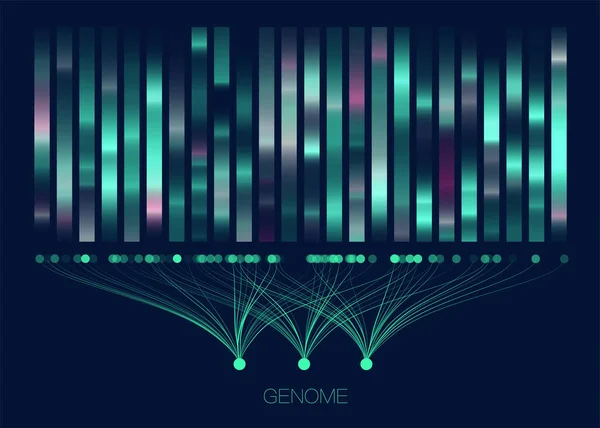 Prueba Genómica Del Adn Mapa Del Genoma Visualización Macrodatos Representación Vectores de stock libres de derechos