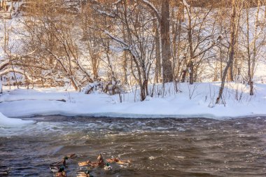 Mart rustik manzara Nehri üzerinde. Bahar nehirde. Rusya'da Köyü