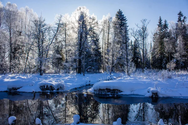 雪冬公园 冬晴霜日 公园里严重的霜冻 列宁格勒州 俄罗斯 — 图库照片