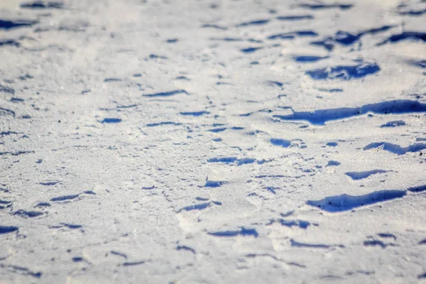 Schneebeschaffenheit Schatten Schnee — Stockfoto