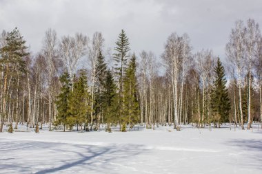 Bahar Mart Park kar ile