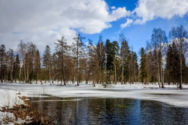 Bahar Mart Park kar ile