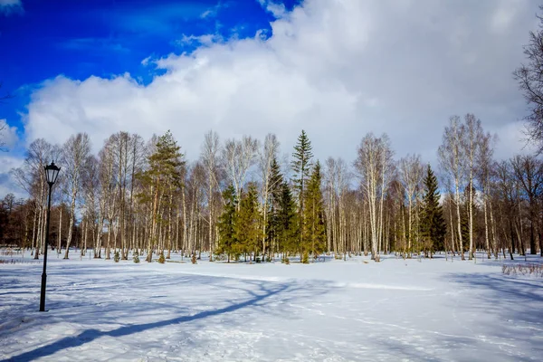 Primavera Marzo Parco Con Neve — Foto Stock