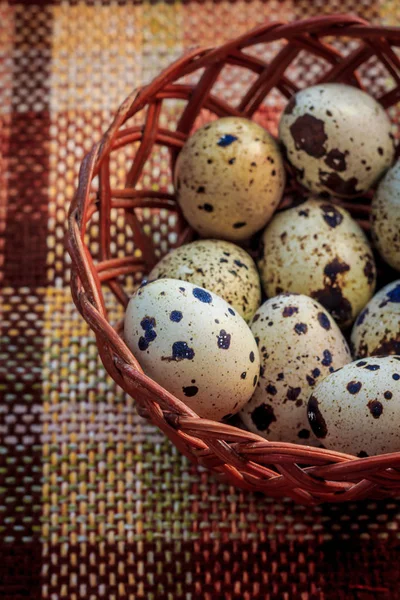 Sepette Bıldırcın Yumurtası — Stok fotoğraf