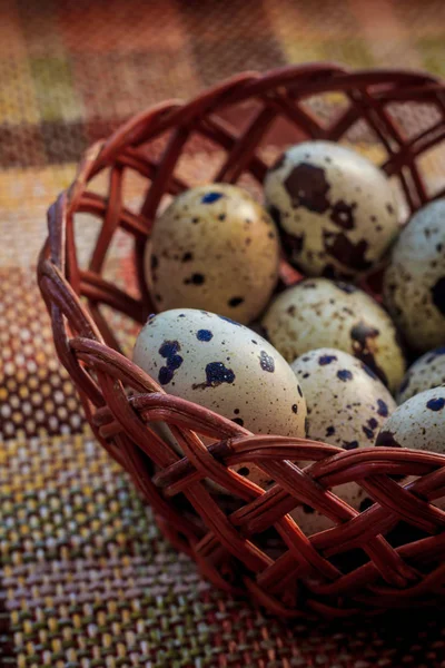 Sepette Bıldırcın Yumurtası — Stok fotoğraf