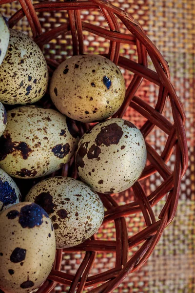 Sepette Bıldırcın Yumurtası — Stok fotoğraf