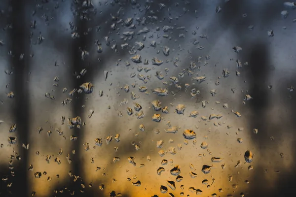 Rain Drops Glass — Stock Photo, Image