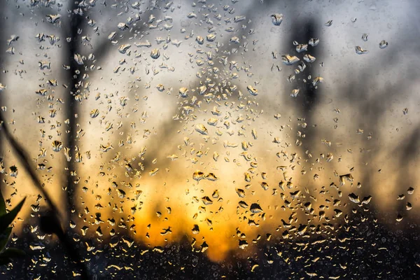 Gotas Lluvia Sobre Vidrio — Foto de Stock