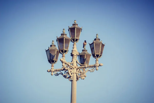 Alte Laternen Der Stadt Petersburg — Stockfoto