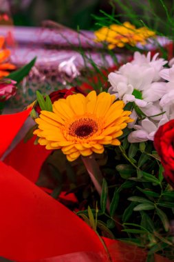 Hazır bouquetsflowers hazır buketleri gerbera, gerbera çiçekleri