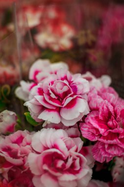Bir buket pembe bush karanfil