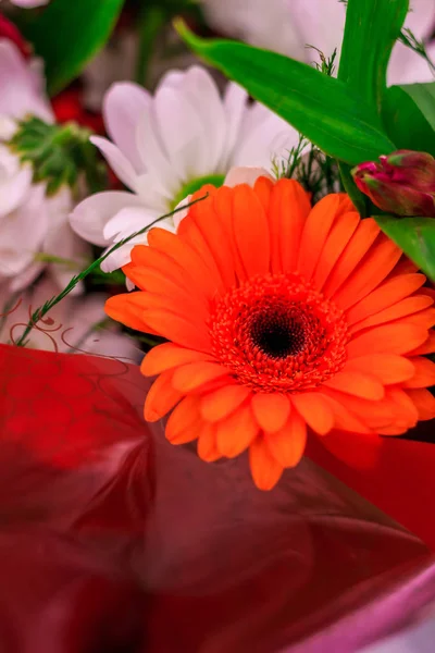 Gerberas와 꽃다발 — 스톡 사진