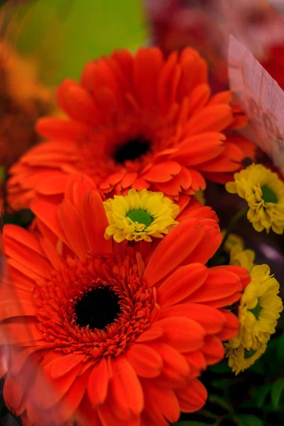 Gerberas와 꽃다발 — 스톡 사진