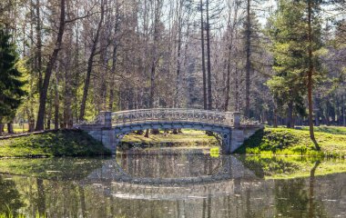 Bahar güneşli gün park
