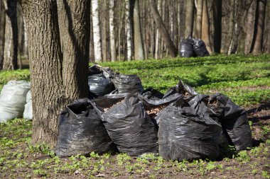 Parkta çöp çöp poşetleriyle. Park temizlik bahar. Kentsel temizlik. Yaprak koleksiyonu