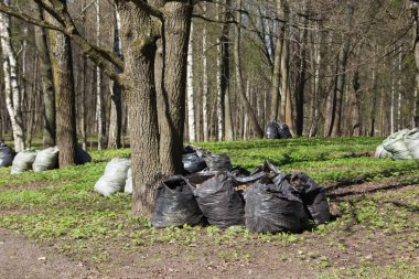 Parkta çöp çöp poşetleriyle. Park temizlik bahar. Kentsel temizlik. Yaprak koleksiyonu
