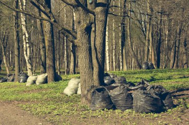 Parkta çöp çöp poşetleriyle. Park temizlik bahar. Kentsel temizlik. Yaprak koleksiyonu