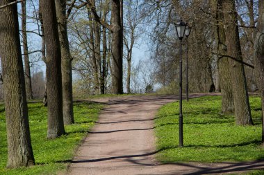 Bahar güneşli gün park