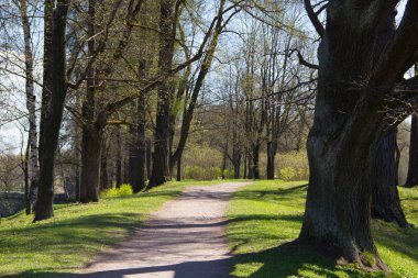 Bahar güneşli gün park