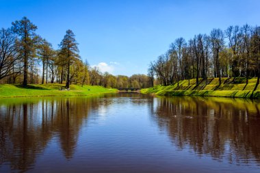 Bahar güneşli gün park