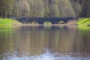 Bahar güneşli gün park