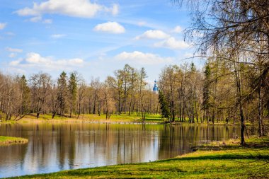 Bahar güneşli gün park