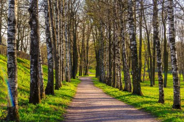 Sakin gece parkta sessiz