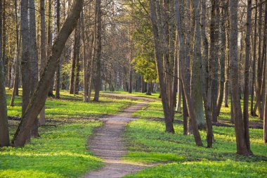 Sakin gece parkta sessiz