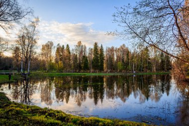 Sakin gece parkta sessiz