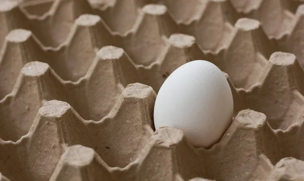 White egg in the egg box