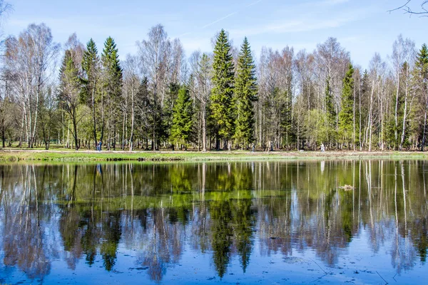 Jarní Slunečný Den Park — Stock fotografie