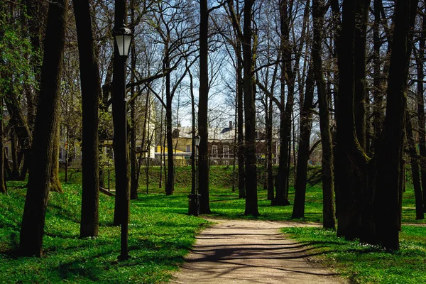 Bahar güneşli gün park