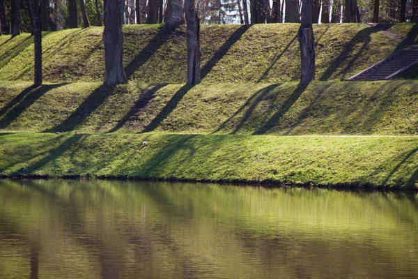 Tavaszi Napsütésben Park — Stock Fotó