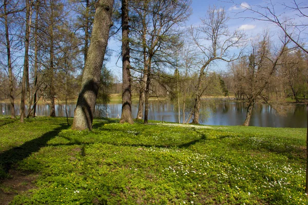 Bahar güneşli gün park