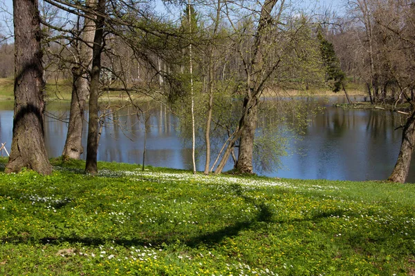 Bahar güneşli gün park
