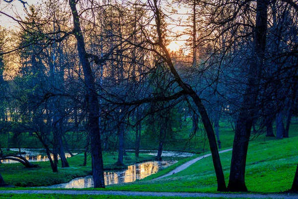 Summer Pomarańczowy Zachód Słońca Parku Gatczyna — Zdjęcie stockowe