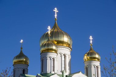 Puşkin tapınakta altın kubbeleri. 2018, Rusya, Leningrad Region, St. Petersburg olabilir