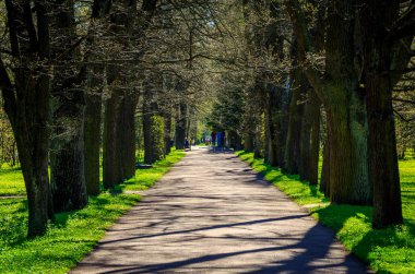 Parkta gündüz sokakta bahar