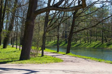 Bahar güneş Ekaterininsky park. Pushkin, Leningrad bölgesinde