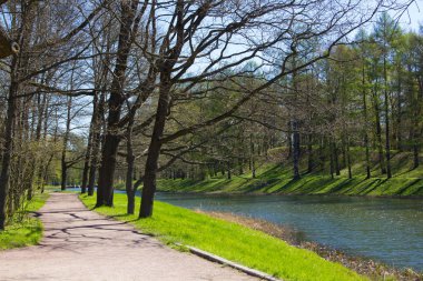 Bahar güneş Ekaterininsky park. Pushkin, Leningrad bölgesinde