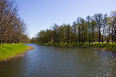 Bahar güneş Ekaterininsky park. Pushkin, Leningrad bölgesinde