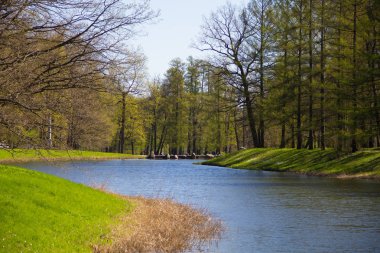 Bahar güneş Ekaterininsky park. Pushkin, Leningrad bölgesinde