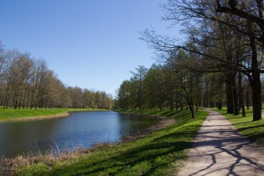 Bahar güneş Ekaterininsky park. Pushkin, Leningrad bölgesinde